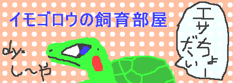 女の子向け?